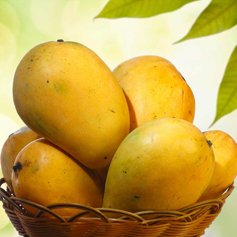 Royal Alphonso Hapus Mangoes (Jumbo)